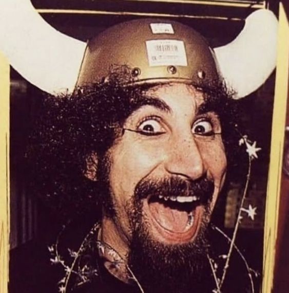 serj tankian as a viking